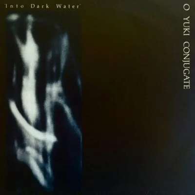 Into Dark Water