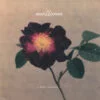MM003