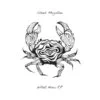 Shadi Megallaa - What Now