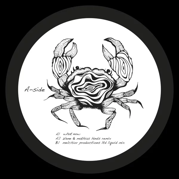 Shadi Megallaa - What Now