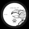 Shadi Megallaa - What Now