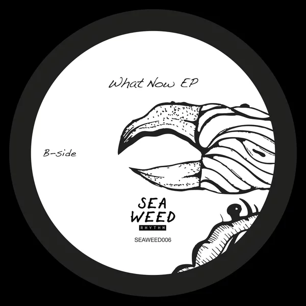 Shadi Megallaa - What Now