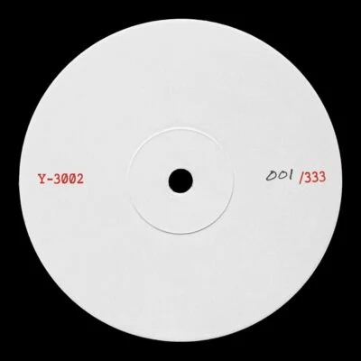Y-3002