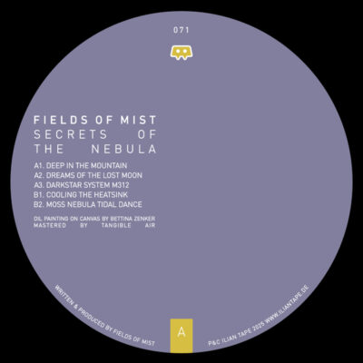 Secrets Of The Nebula